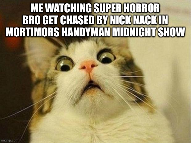 Scared Cat Meme | ME WATCHING SUPER HORROR BRO GET CHASED BY NICK NACK IN MORTIMORS HANDYMAN MIDNIGHT SHOW | image tagged in memes,scared cat | made w/ Imgflip meme maker