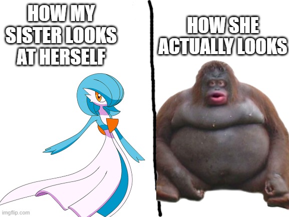 how my sister looks | HOW SHE ACTUALLY LOOKS; HOW MY SISTER LOOKS AT HERSELF | image tagged in monke | made w/ Imgflip meme maker