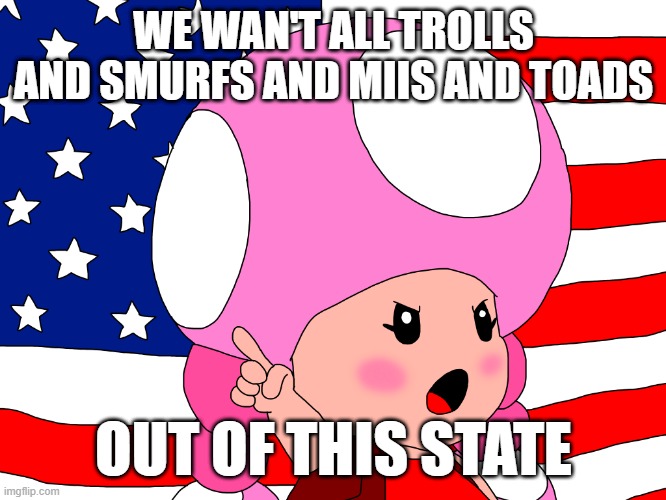 Toadette American Flag | WE WAN'T ALL TROLLS AND SMURFS AND MIIS AND TOADS; OUT OF THIS STATE | image tagged in toadette american flag | made w/ Imgflip meme maker