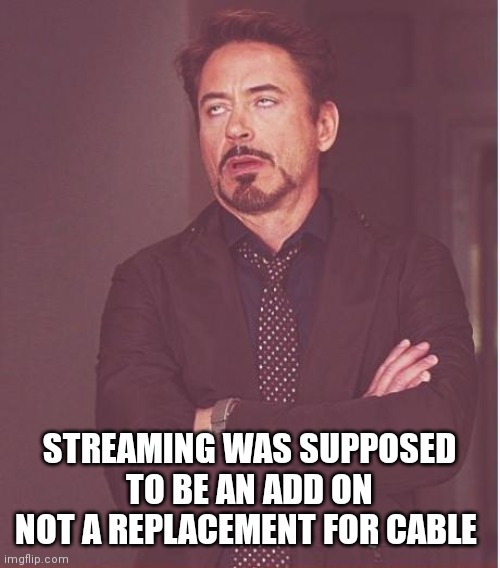 Don't get it twisted people | STREAMING WAS SUPPOSED TO BE AN ADD ON NOT A REPLACEMENT FOR CABLE | image tagged in memes,face you make robert downey jr,funny memes | made w/ Imgflip meme maker