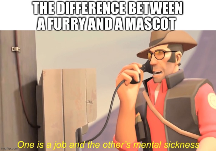 One has a job and the other's mental sickness | THE DIFFERENCE BETWEEN A FURRY AND A MASCOT | image tagged in one has a job and the other's mental sickness | made w/ Imgflip meme maker