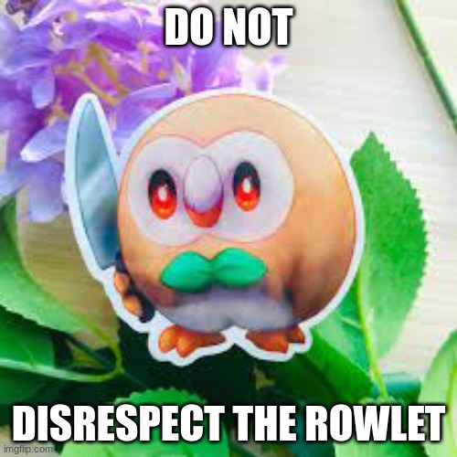 RESPECT THE ROWLET!!! | DO NOT; DISRESPECT THE ROWLET | made w/ Imgflip meme maker