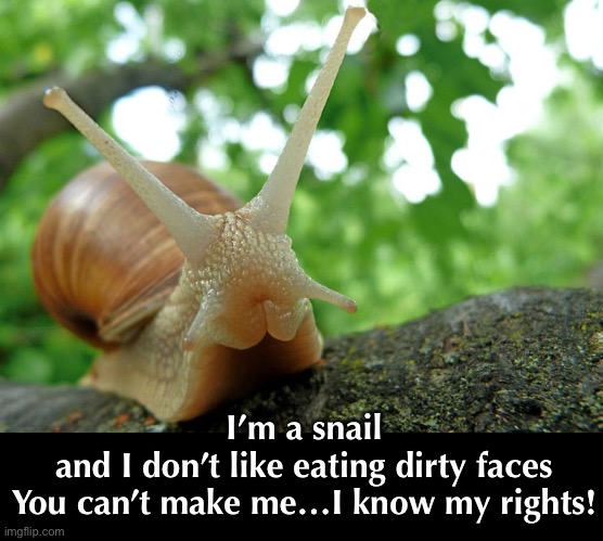 I’m a snail
and I don’t like eating dirty faces
You can’t make me…I know my rights! | made w/ Imgflip meme maker