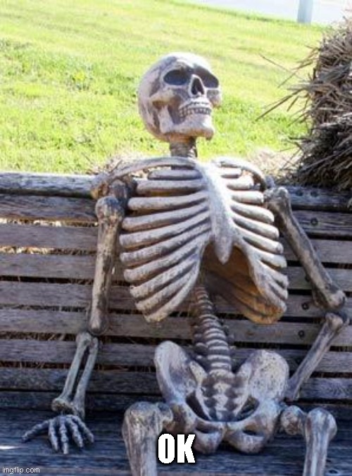 Waiting Skeleton Meme | OK | image tagged in memes,waiting skeleton | made w/ Imgflip meme maker