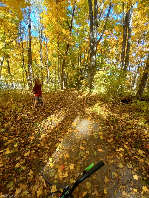ME AND THE KIDS ON A BIKE RIDE IN THE YELLOW AND ORANGE FOREST! | image tagged in autumn leaves,fall,forest,photos | made w/ Imgflip meme maker
