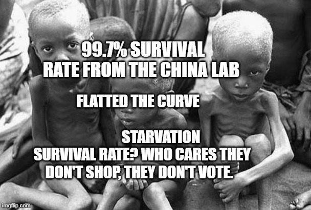 starving africans | 99.7% SURVIVAL RATE FROM THE CHINA LAB; FLATTED THE CURVE                                           STARVATION SURVIVAL RATE? WHO CARES THEY DON'T SHOP, THEY DON'T VOTE. | image tagged in starving africans | made w/ Imgflip meme maker