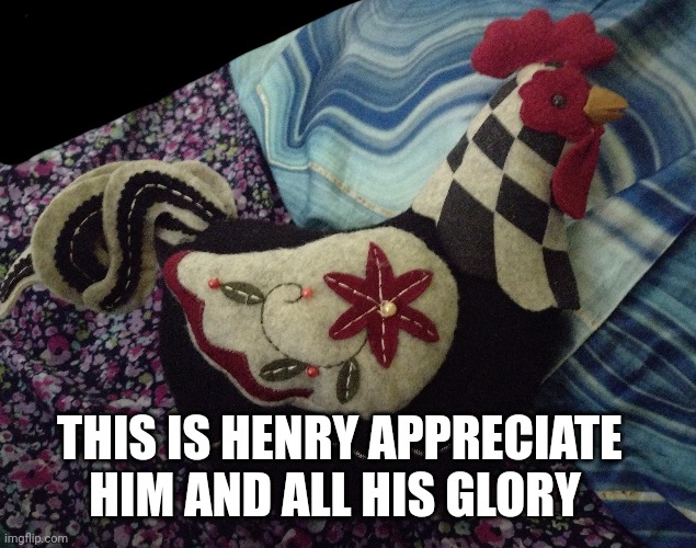 Henry | THIS IS HENRY APPRECIATE HIM AND ALL HIS GLORY | image tagged in henry | made w/ Imgflip meme maker