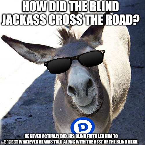 HOW DID THE BLIND JACKASS CROSS THE ROAD? HE NEVER ACTUALLY DID, HIS BLIND FAITH LED HIM TO BELIEVE WHATEVER HE WAS TOLD ALONG WITH THE REST | made w/ Imgflip meme maker