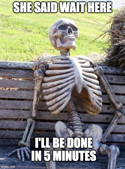 she said 5 minutes | SHE SAID WAIT HERE; I'LL BE DONE IN 5 MINUTES | image tagged in memes,waiting skeleton | made w/ Imgflip meme maker