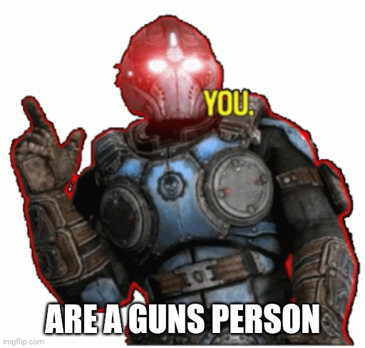 Stupid Bureaucrats | ARE A GUNS PERSON | image tagged in stupid bureaucrats | made w/ Imgflip meme maker