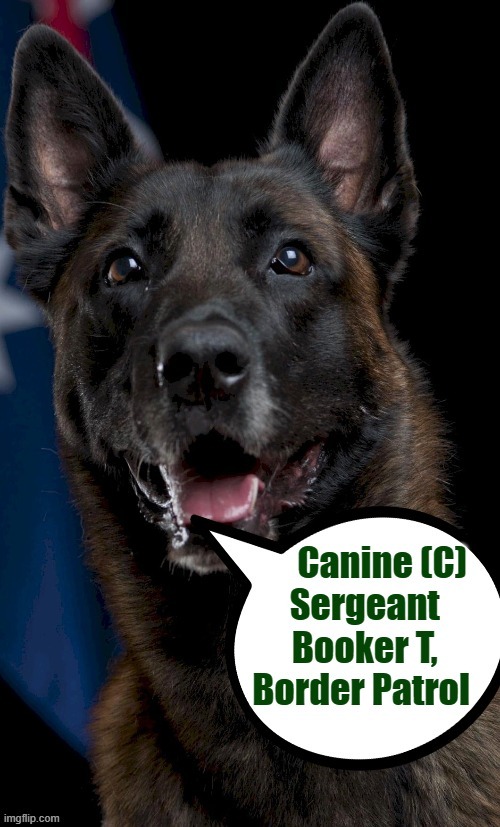 Sgt Booker T (C) | image tagged in border | made w/ Imgflip meme maker