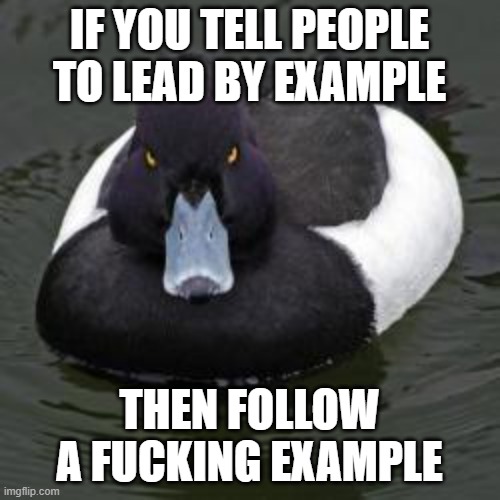 Angry Advice Mallard | IF YOU TELL PEOPLE TO LEAD BY EXAMPLE; THEN FOLLOW A FUCKING EXAMPLE | image tagged in angry advice mallard | made w/ Imgflip meme maker
