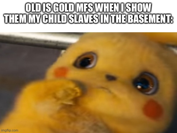 OLD IS GOLD MFS WHEN I SHOW THEM MY CHILD SLAVES IN THE BASEMENT: | made w/ Imgflip meme maker