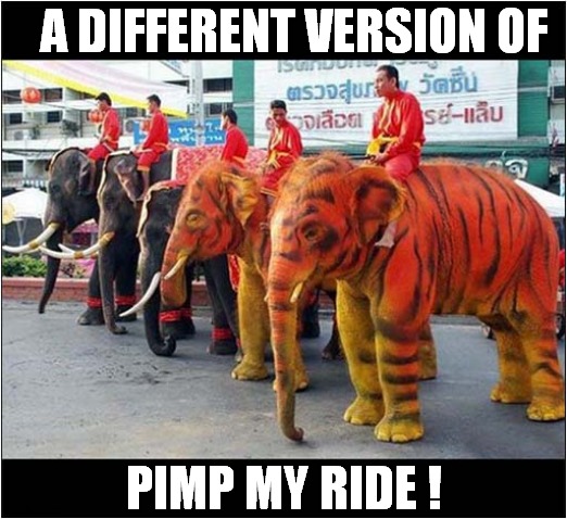 What's Happening Here ? | A DIFFERENT VERSION OF; PIMP MY RIDE ! | image tagged in fun,elephants | made w/ Imgflip meme maker