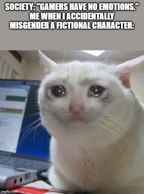 Yes | SOCIETY: "GAMERS HAVE NO EMOTIONS."
ME WHEN I ACCIDENTALLY MISGENDER A FICTIONAL CHARACTER: | image tagged in crying cat | made w/ Imgflip meme maker