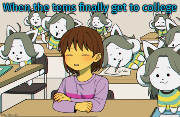 So many tems | When the tems finally get to college | image tagged in temmie,goes,to,college,undertale | made w/ Imgflip meme maker