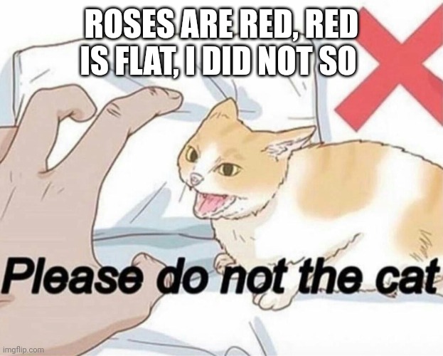 Please do not the cat | ROSES ARE RED, RED IS FLAT, I DID NOT SO | image tagged in please do not the cat | made w/ Imgflip meme maker