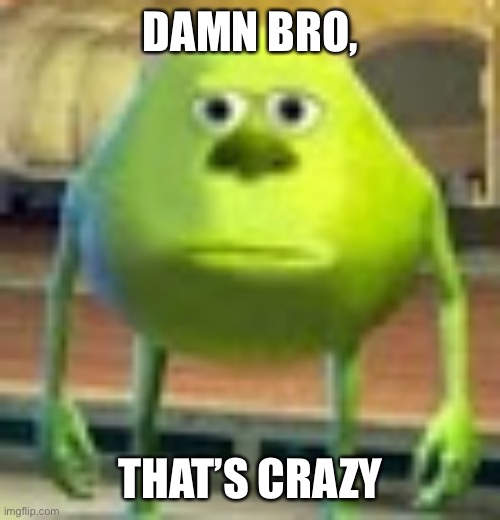 . | DAMN BRO, THAT’S CRAZY | image tagged in sully wazowski,funny,funny memes | made w/ Imgflip meme maker