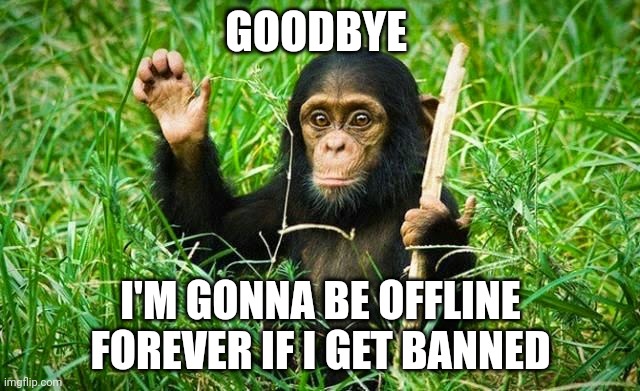 goodbye | GOODBYE; I'M GONNA BE OFFLINE FOREVER IF I GET BANNED | image tagged in goodbye | made w/ Imgflip meme maker