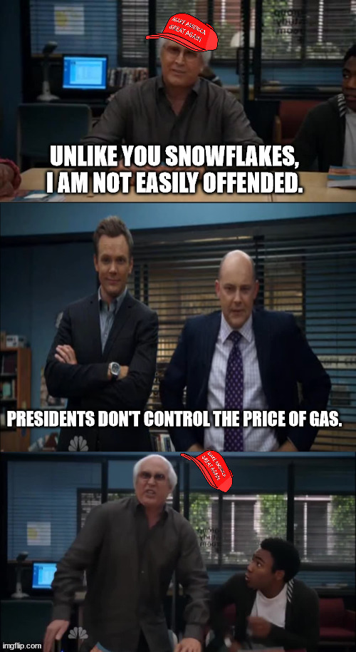 MAGA Snowflake | UNLIKE YOU SNOWFLAKES, I AM NOT EASILY OFFENDED. PRESIDENTS DON'T CONTROL THE PRICE OF GAS. | image tagged in maga snowflake | made w/ Imgflip meme maker