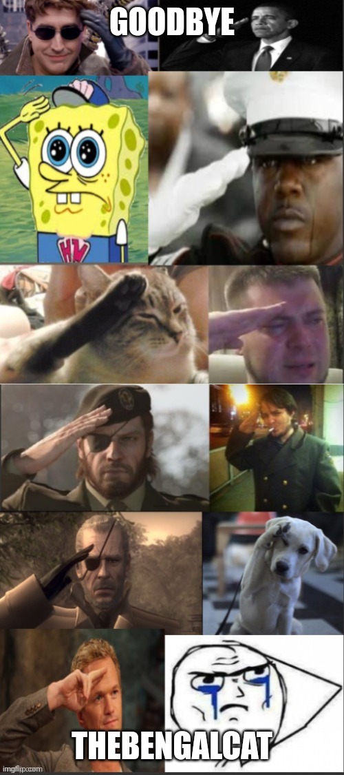 ALOT OF SALUTE | GOODBYE THEBENGALCAT | image tagged in alot of salute | made w/ Imgflip meme maker