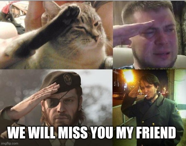 Ozon's Salute | WE WILL MISS YOU MY FRIEND | image tagged in ozon's salute | made w/ Imgflip meme maker