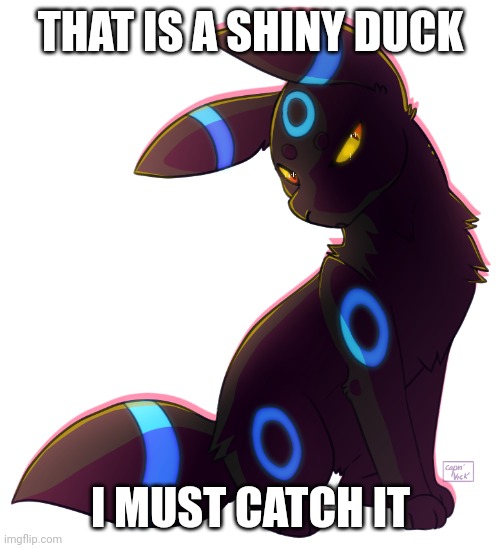 Umbreon | THAT IS A SHINY DUCK I MUST CATCH IT | image tagged in umbreon | made w/ Imgflip meme maker