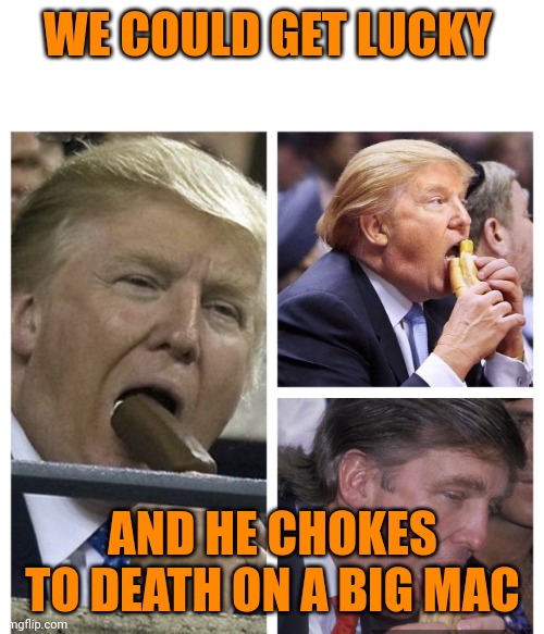 Trump cocksucker | WE COULD GET LUCKY AND HE CHOKES TO DEATH ON A BIG MAC | image tagged in trump cocksucker | made w/ Imgflip meme maker