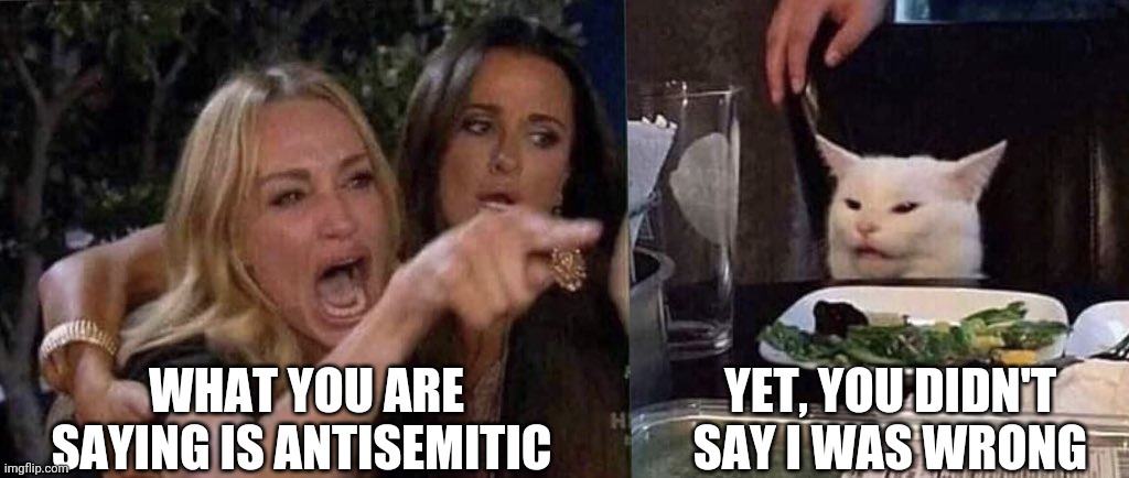 1984 | WHAT YOU ARE SAYING IS ANTISEMITIC; YET, YOU DIDN'T SAY I WAS WRONG | image tagged in antisemitism,jews,jewish,truth,nwo,jew | made w/ Imgflip meme maker