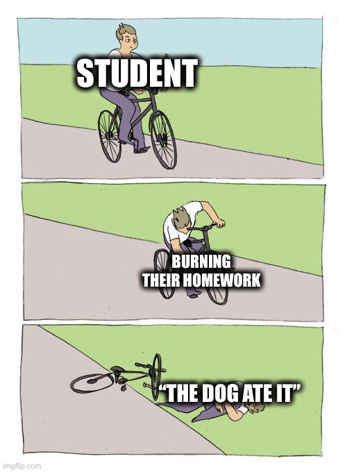 Don’t want to do homework? Well, too bad. Schools want to make us miserable. | STUDENT; BURNING THEIR HOMEWORK; “THE DOG ATE IT” | image tagged in memes,bike fall | made w/ Imgflip meme maker