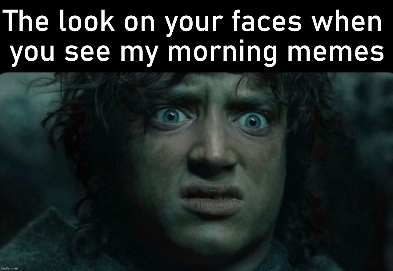 The look on your faces when 
you see my morning memes | image tagged in who_am_i | made w/ Imgflip meme maker