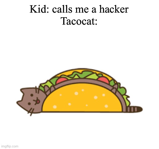 Kid: calls me a hacker
Tacocat: | image tagged in taco,cat,stop reading the tags,seriously,stop | made w/ Imgflip meme maker
