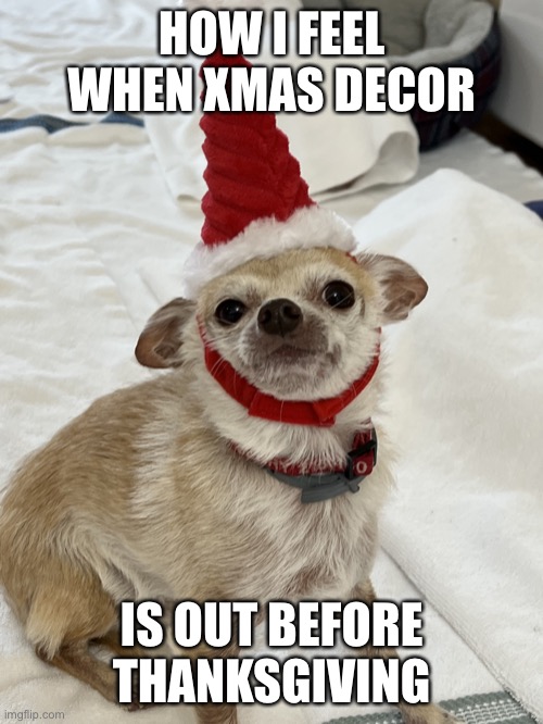 I hate photos | HOW I FEEL WHEN XMAS DECOR; IS OUT BEFORE THANKSGIVING | image tagged in i hate photos | made w/ Imgflip meme maker