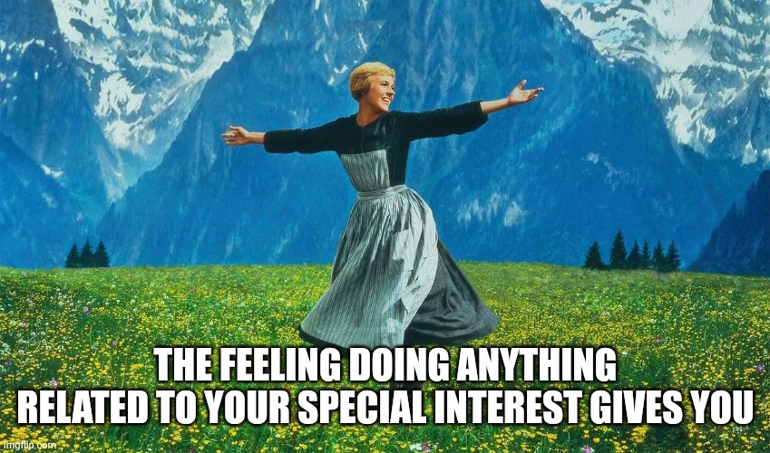 THE FEELING DOING ANYTHING RELATED TO YOUR SPECIAL INTEREST GIVES YOU | image tagged in autism,special interest | made w/ Imgflip meme maker