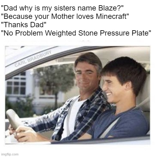 The Future | "Dad why is my sisters name Blaze?"
"Because your Mother loves Minecraft"
"Thanks Dad"
"No Problem Weighted Stone Pressure Plate" | image tagged in dad why is my sisters name,minecraft | made w/ Imgflip meme maker