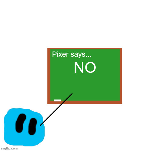 Pixer Says | NO | image tagged in pixer says | made w/ Imgflip meme maker