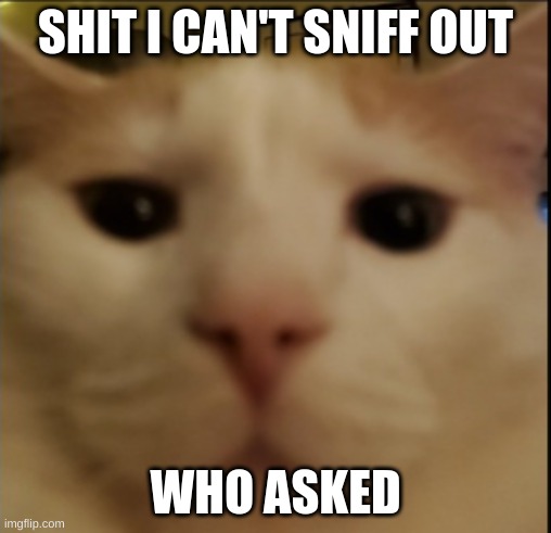 SHIT I CAN'T SNIFF OUT WHO ASKED | made w/ Imgflip meme maker