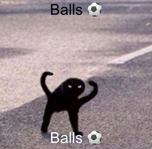 Cursed cat temp | Balls ⚽️; Balls ⚽️ | image tagged in cursed cat temp | made w/ Imgflip meme maker