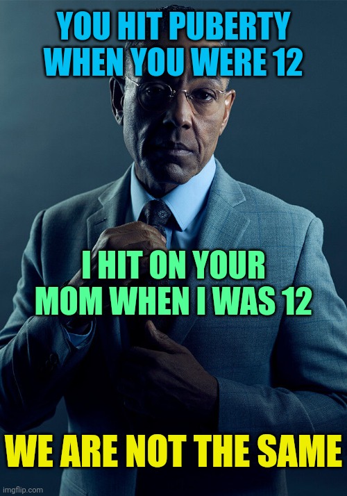 . | YOU HIT PUBERTY WHEN YOU WERE 12; I HIT ON YOUR MOM WHEN I WAS 12; WE ARE NOT THE SAME | image tagged in gus fring we are not the same | made w/ Imgflip meme maker