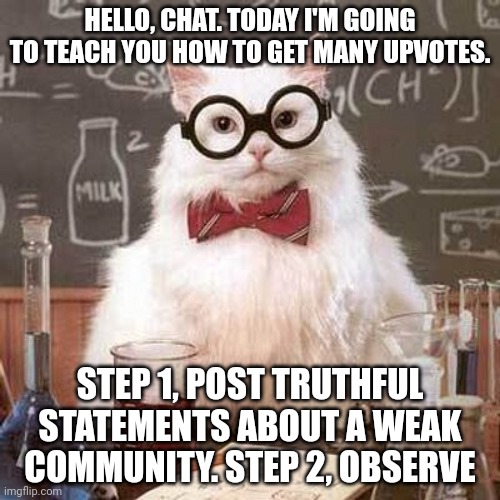 W E E Z E (R) | HELLO, CHAT. TODAY I'M GOING TO TEACH YOU HOW TO GET MANY UPVOTES. STEP 1, POST TRUTHFUL STATEMENTS ABOUT A WEAK COMMUNITY. STEP 2, OBSERVE | image tagged in scientific cat | made w/ Imgflip meme maker