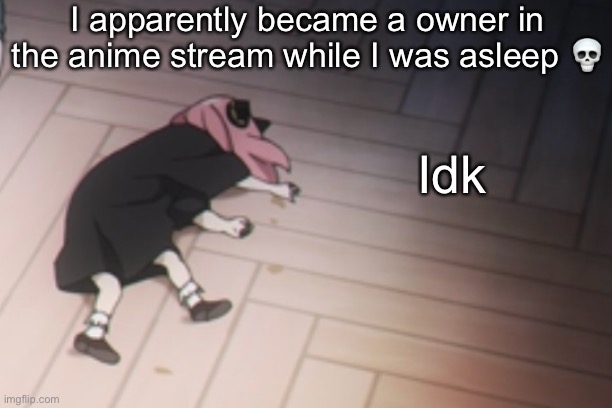 Anya dead | I apparently became a owner in the anime stream while I was asleep 💀; Idk | image tagged in anya dead | made w/ Imgflip meme maker