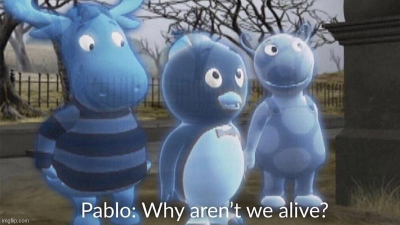 Pablo why aren't we alive? | image tagged in pablo why aren't we alive | made w/ Imgflip meme maker