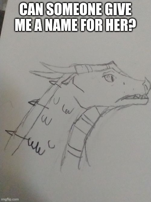 Help | CAN SOMEONE GIVE ME A NAME FOR HER? | image tagged in wings of fire,dragon | made w/ Imgflip meme maker