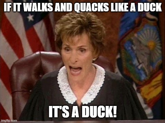 Judge Judy Duck | IF IT WALKS AND QUACKS LIKE A DUCK; IT'S A DUCK! | image tagged in judge judy,duck,quack | made w/ Imgflip meme maker