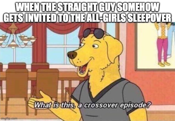 What is this a crossover episode? | WHEN THE STRAIGHT GUY SOMEHOW GETS INVITED TO THE ALL-GIRLS SLEEPOVER | image tagged in what is this a crossover episode | made w/ Imgflip meme maker