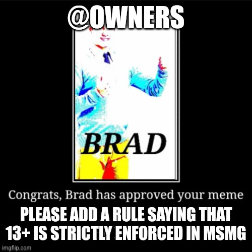 3 underage users banned just today | @OWNERS; PLEASE ADD A RULE SAYING THAT 13+ IS STRICTLY ENFORCED IN MSMG | image tagged in brad approves your meme | made w/ Imgflip meme maker