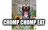 How My Tiger Eats Imgflip