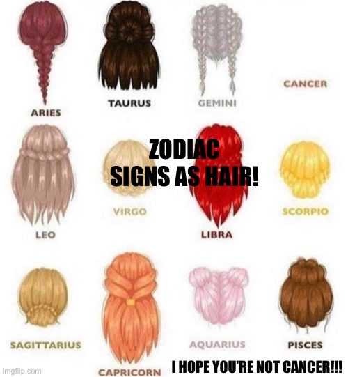 Zodiac Signs As Hair!!! | ZODIAC SIGNS AS HAIR! I HOPE YOU’RE NOT CANCER!!! | image tagged in zodiac signs as hair | made w/ Imgflip meme maker