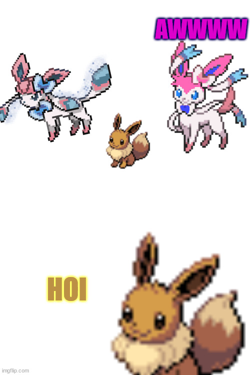 sylceon's family: spark the eevee | AWWWW; HOI | image tagged in blank white template | made w/ Imgflip meme maker