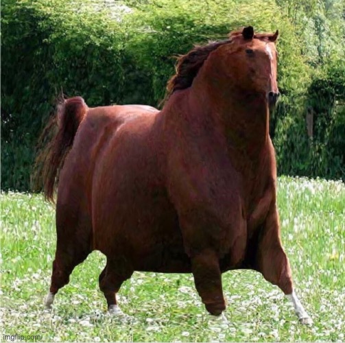 The H O N S E | image tagged in the h o n s e | made w/ Imgflip meme maker